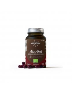 HIFAS DA TERRA MICO-REI 70 CAPS